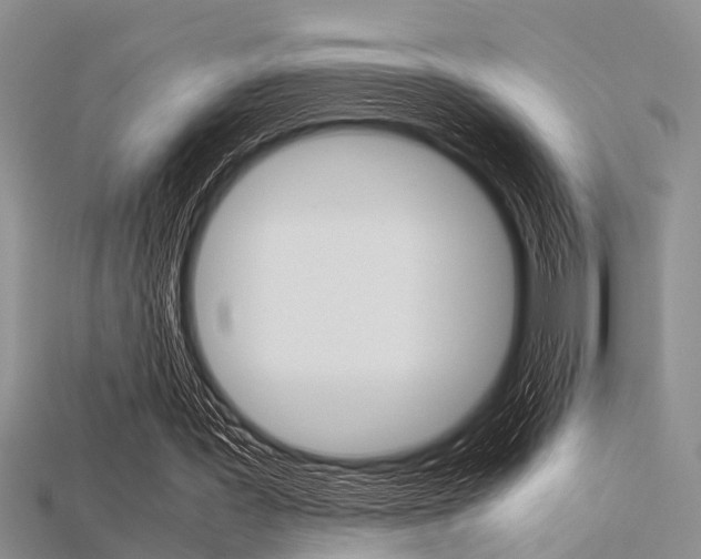 X0000115740387200911121107