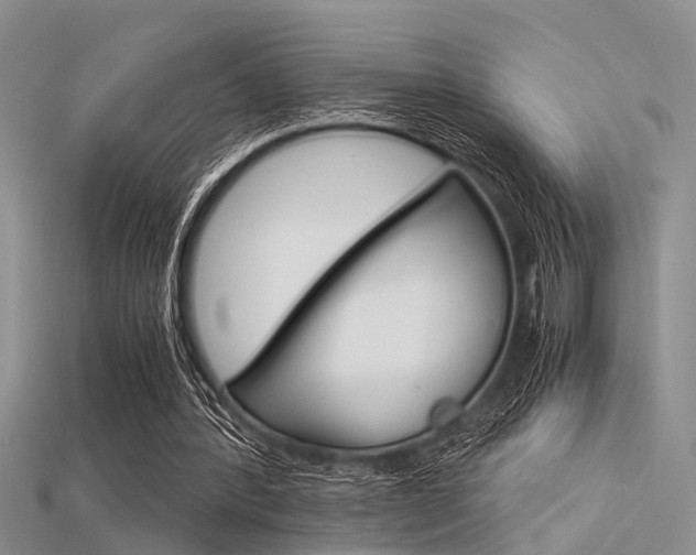 X0000115740388200911121107