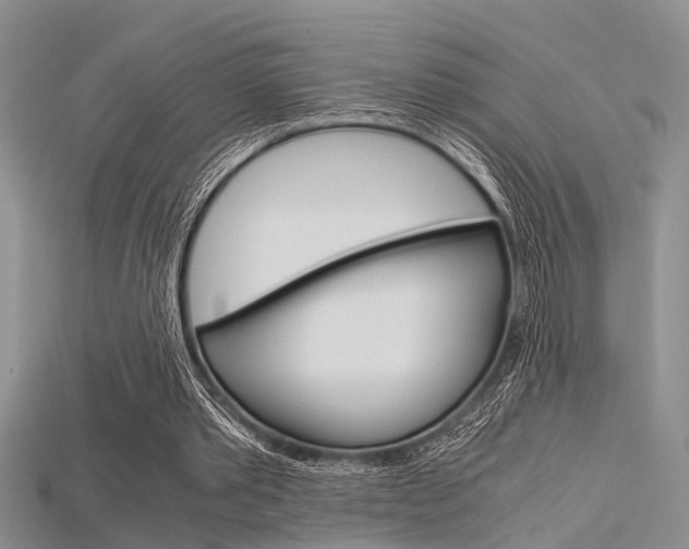 X0000115740389200911121107