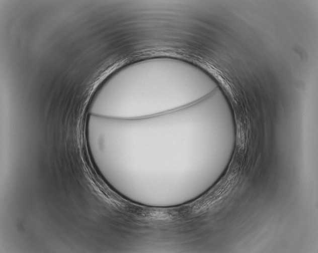 X0000115740390200911121107