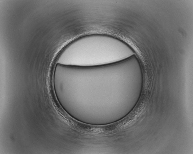 X0000115740391200911121106