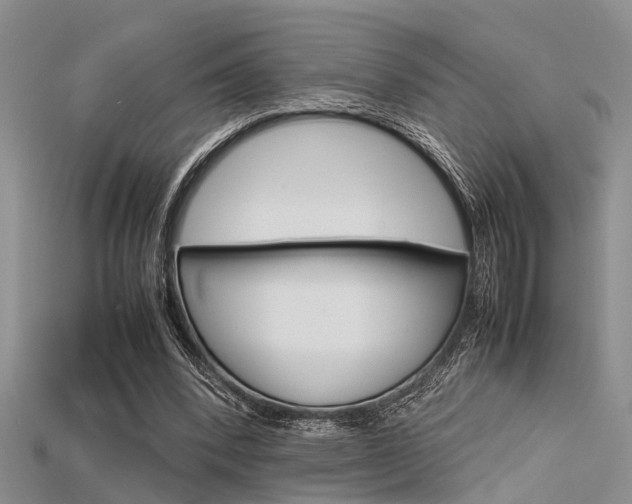 X0000115740392200911121106