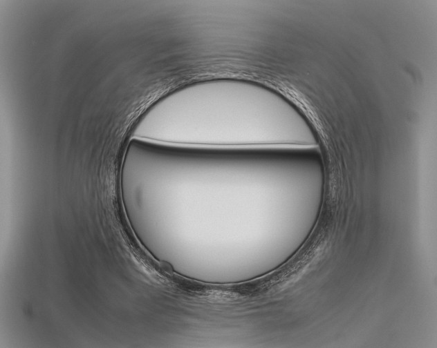 X0000115740393200911121106