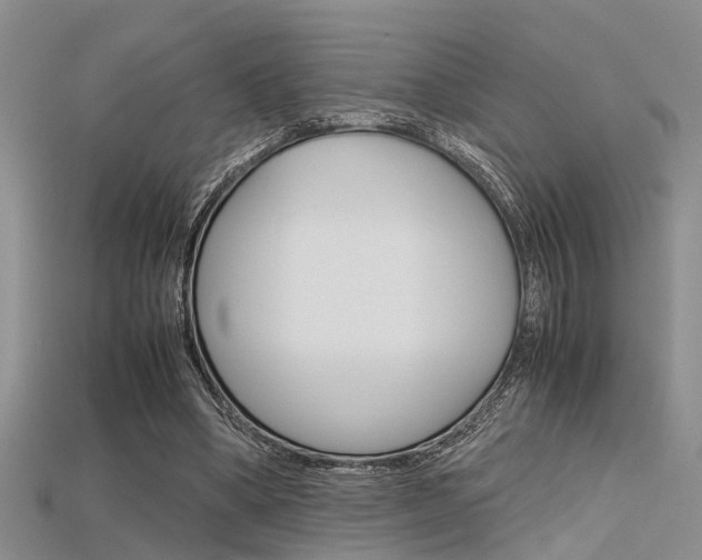 X0000115740394200911121106