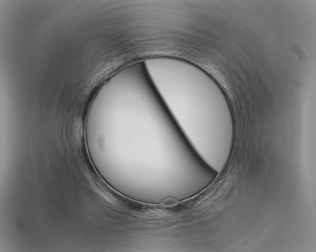 X0000115740397200911121106