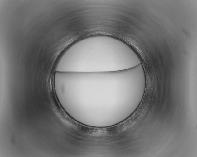 X0000115740398200911121106