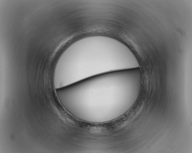 X0000115740400200911121106