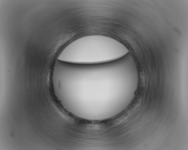 X0000115740404200911121106