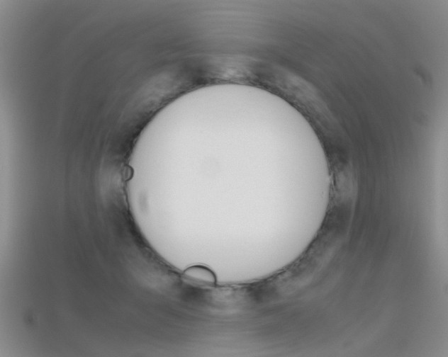 X0000115740415200911121106
