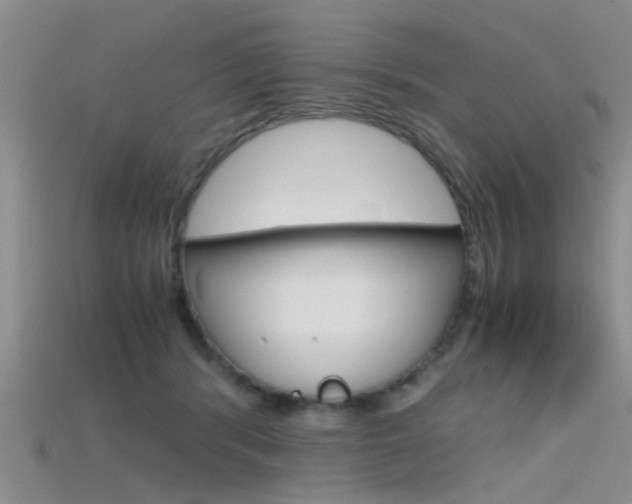 X0000115740416200911121106