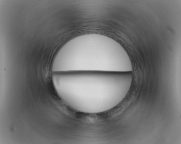 X0000115740420200911121106