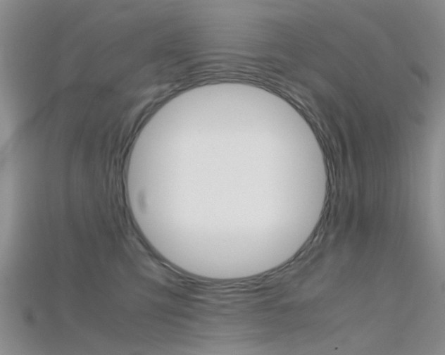 X0000115740423200911121106