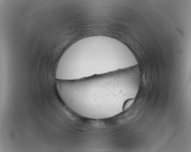 X0000115740424200911121106