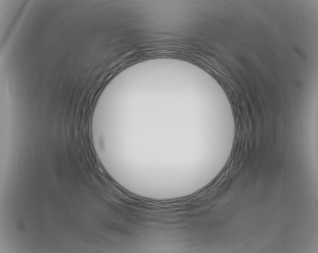 X0000115740425200911121106