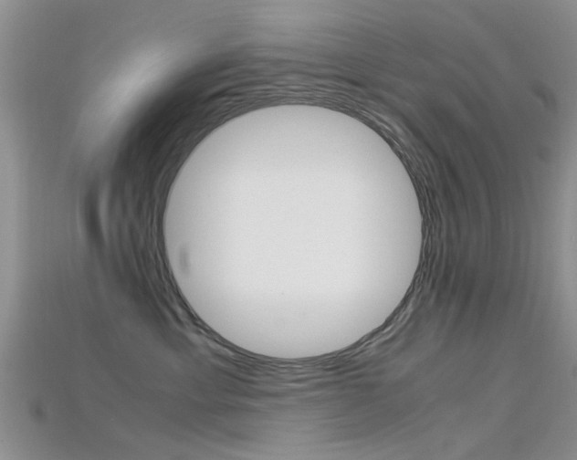 X0000115740429200911121106