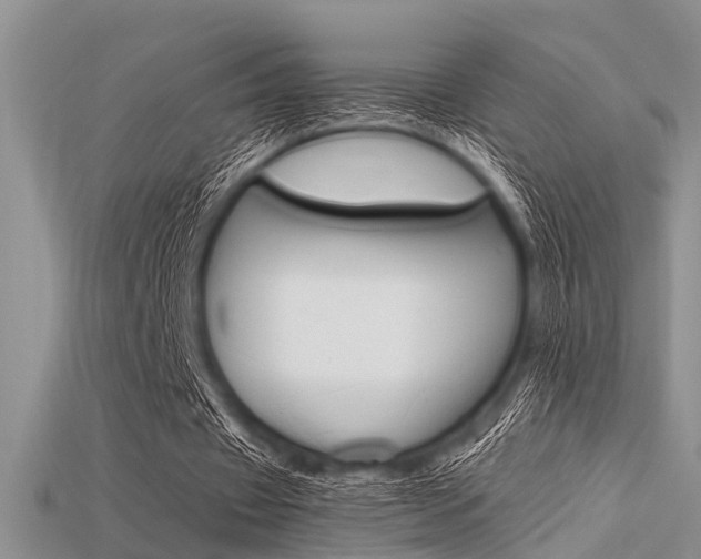 X0000115740433200911121105