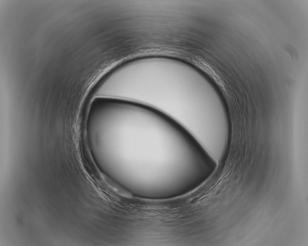 X0000115740436200911121105