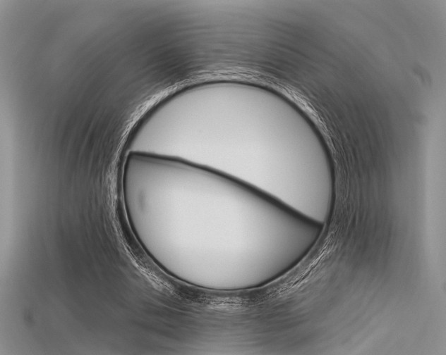 X0000115740438200911121105