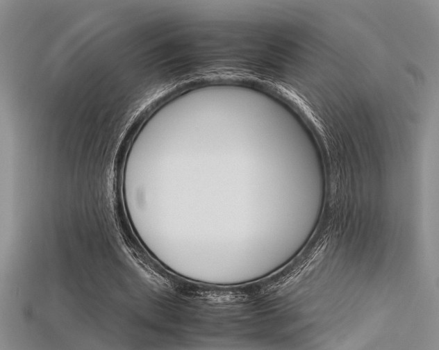 X0000115740439200911121105