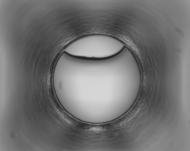 X0000115740441200911121105
