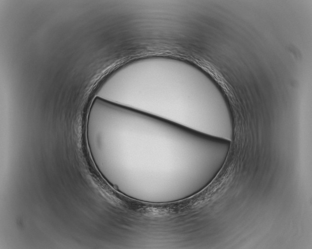 X0000115740442200911121105