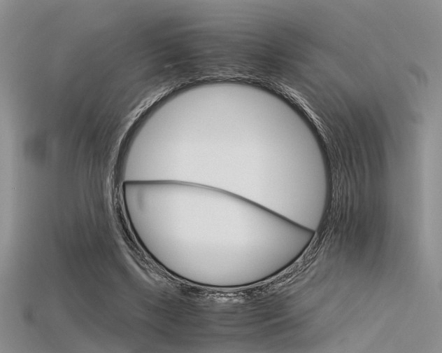 X0000115740443200911121105