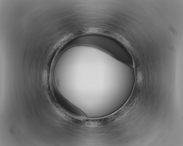 X0000115740444200911121105