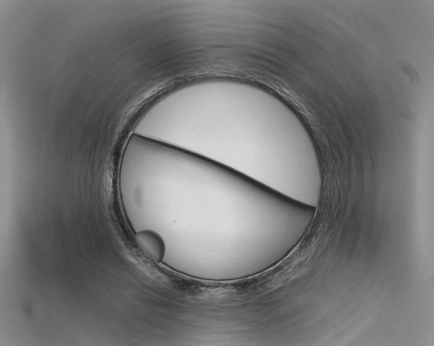 X0000115740446200911121105