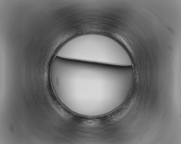 X0000115740447200911121105