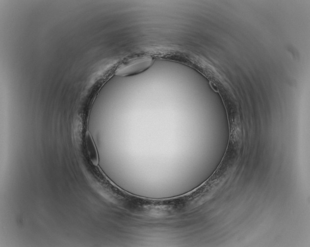 X0000115740448200911121105