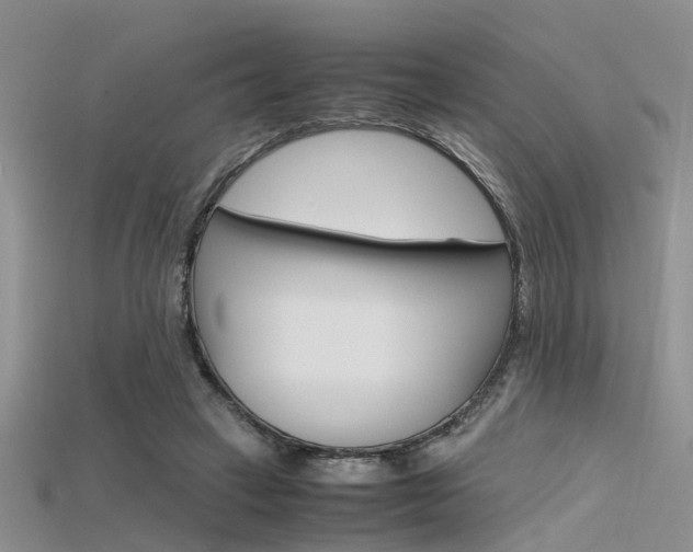 X0000115740449200911121105