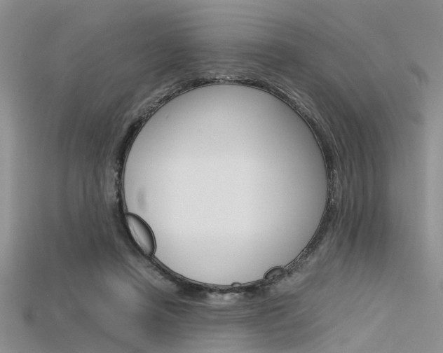 X0000115740450200911121106
