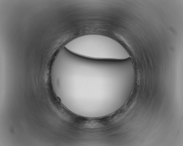 X0000115740451200911121106