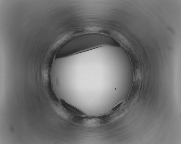 X0000115740452200911121106