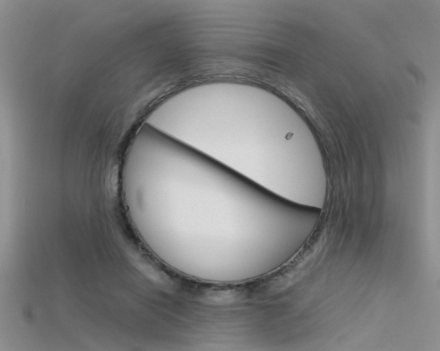 X0000115740454200911121106