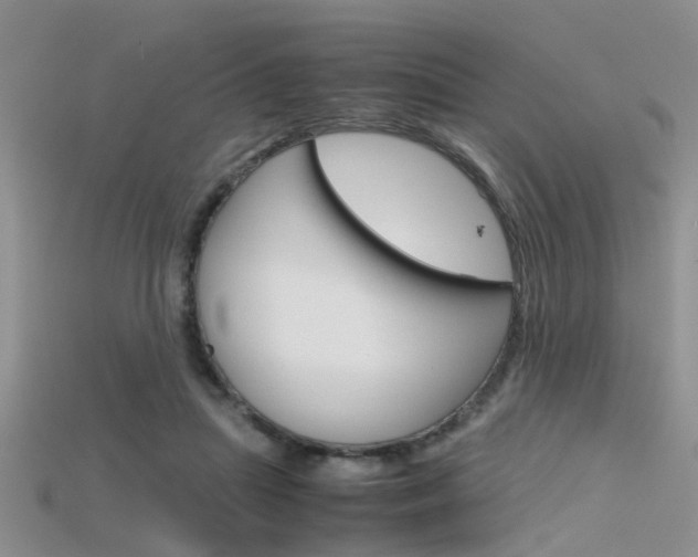 X0000115740455200911121106