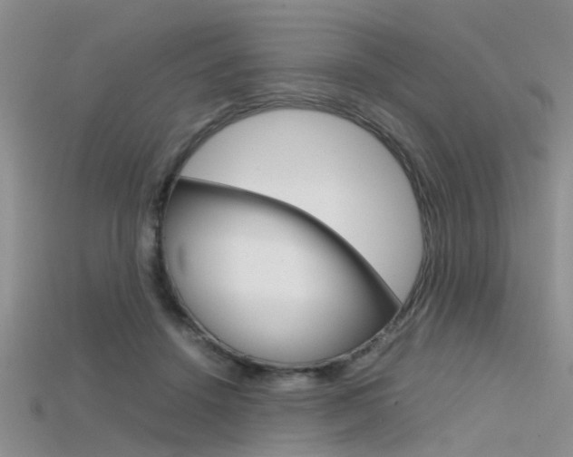 X0000115740456200911121106