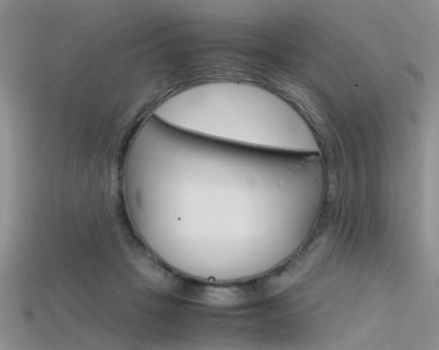 X0000115740457200911121106