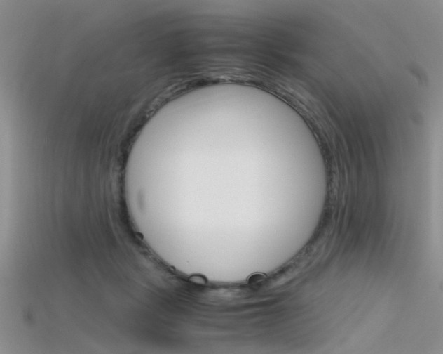 X0000115740461200911121106