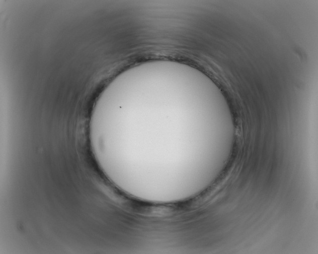 X0000115740462200911121106