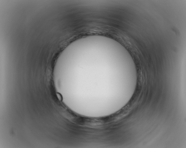 X0000115740463200911121106
