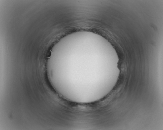 X0000115740464200911121106