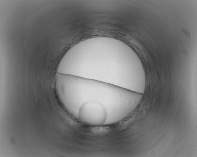 X0000115740465200911121106