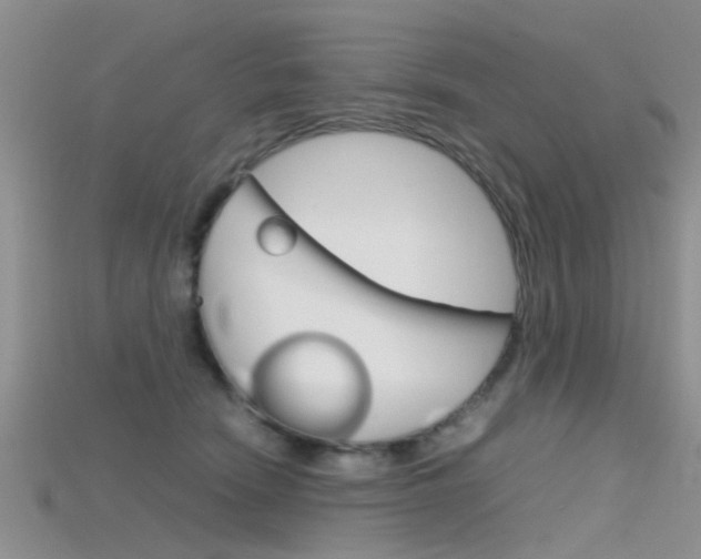 X0000115740466200911121106