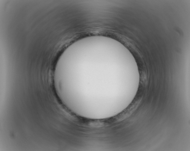 X0000115740470200911121106