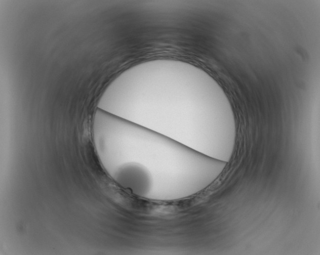 X0000115740471200911121106