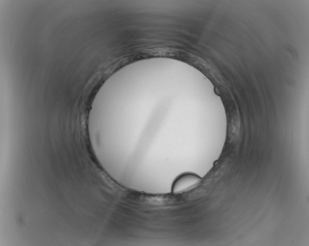 X0000115740473200911121106