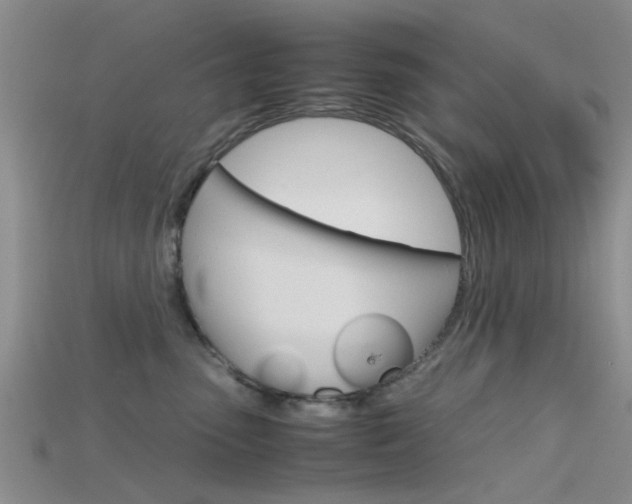 X0000115740475200911121106