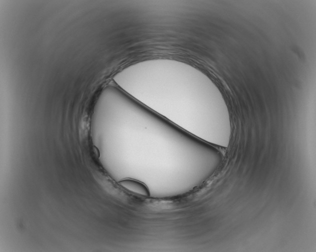 X0000115740476200911121106