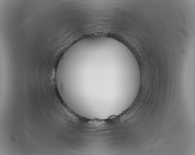 X0000115740480200911121106